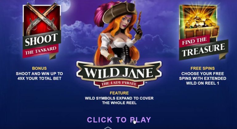 Заставка игры Wild Jane: The Lady Pirate от Leander Games с сексуальной пираткой в центре