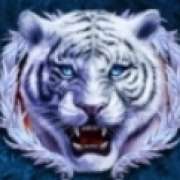 Символ Тигр в Tiger’s Claw