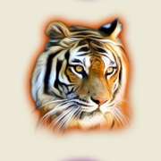 Символ Tiger в The Wildlife