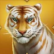 Символ Тигрица в Tiger Tiger