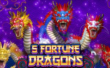 5 Fortune Dragon