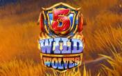 5 Wild Wolves (демо-версия)