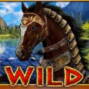 Символ Wild в 50 Amazons' Battle