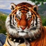Символ Tiger в 50 Amazons' Battle