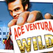 Символ Wild в Ace Ventura: Pet Detective