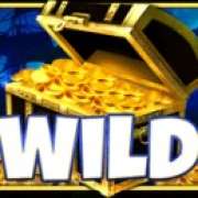 Символ Wild в Retro Treasures
