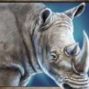 Символ Носорог в Savanna Roar