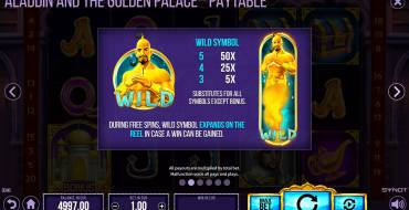 Aladdin and the Golden Palace: Уникальные функции