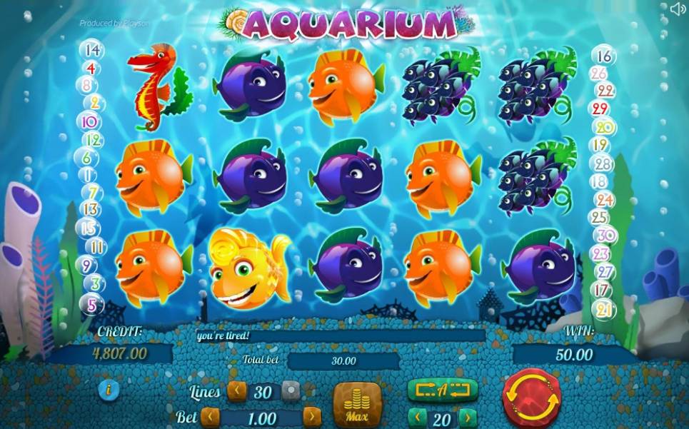 Aquarium