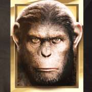 Символ Горилла в Planet of the Apes
