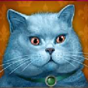 Символ Британский кот в Diamond Cats