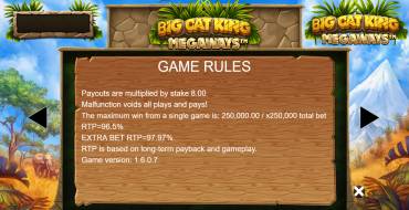 Big Cat King Megaways: Правила