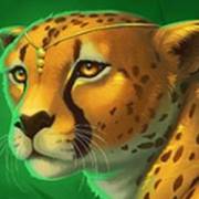 Big Cat King Megaways: Гепард