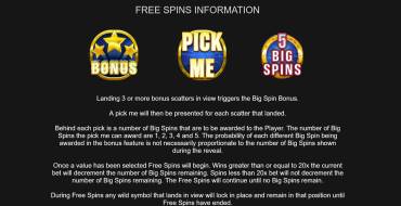 Big Spin Bonus: Фриспины и/или респины