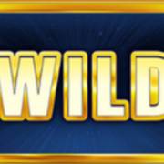 Big Spin Bonus: Wild