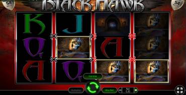 Black Hawk: Выплаты