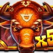 Символ Wild X5 в Wild Bison Charge