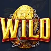 Символ Wild в Gold's Guardian