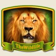 Символ Wild в The Wildlife