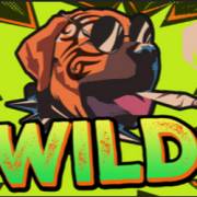 Donkey and the Goats: Wild