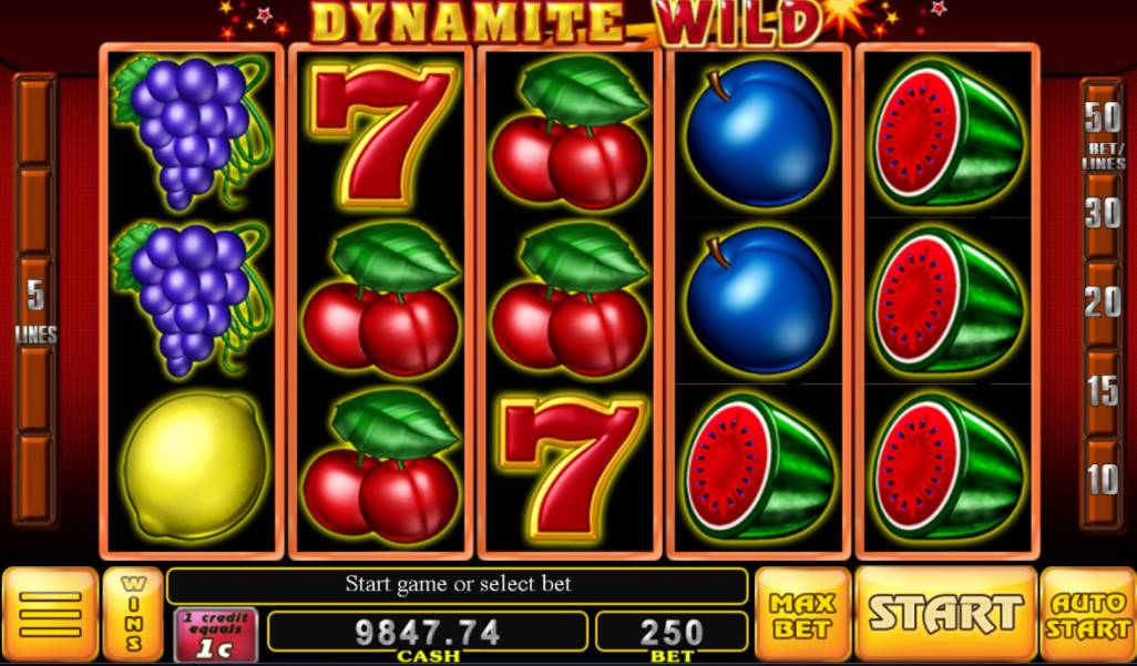 Dynamite Wild