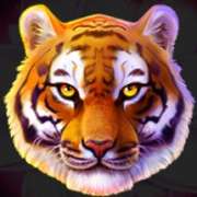 Символ Wild в Tiger Jungle Hold and Win