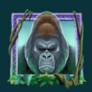 Символ Горилла в Gorilla Riches