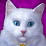 Символ Белая кошка в Diamond Cats