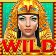 Символ Wild в Pyramid Pays