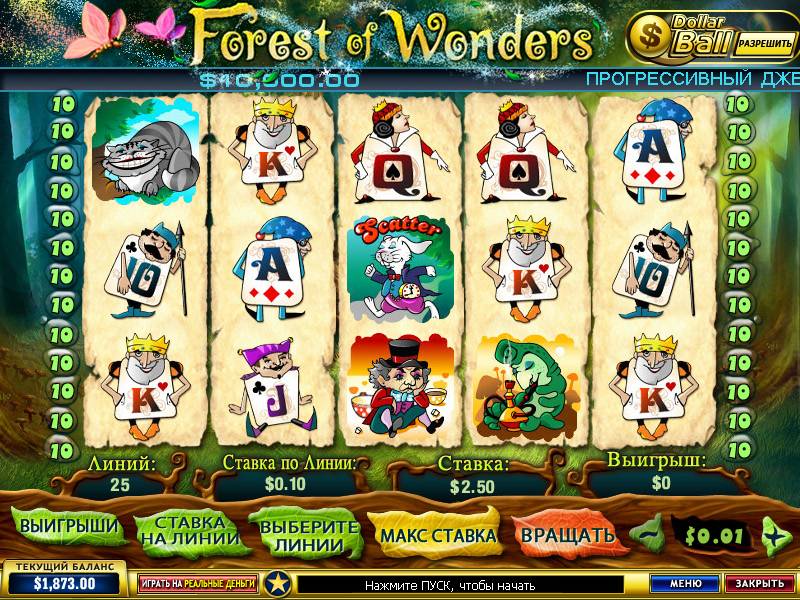 Forest of Wonders