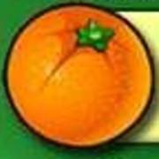 Fruit Fiesta 5 Reel - Progressive: Апельсин