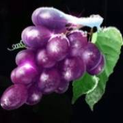 Ice Cold Fruits: Виноград