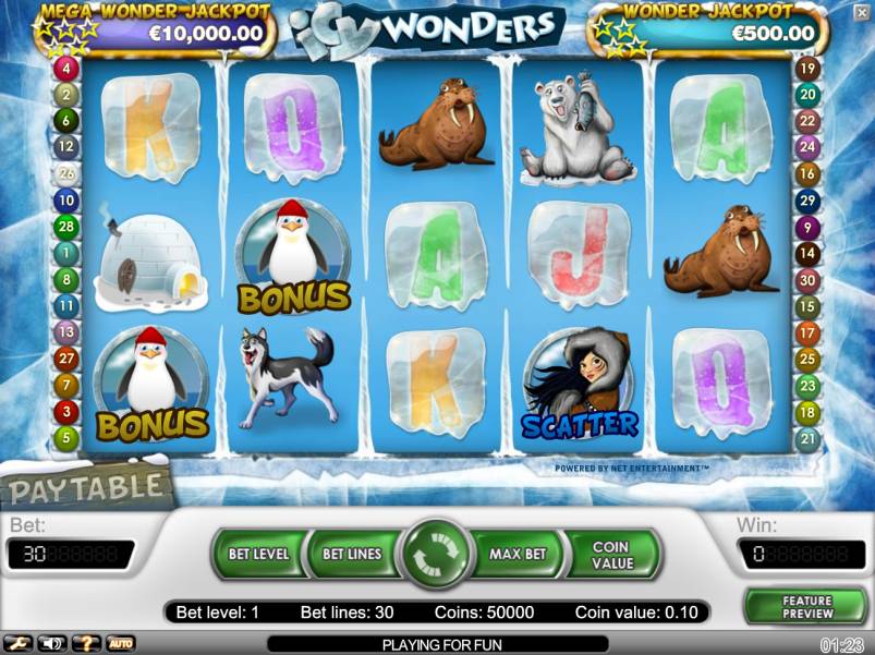 Icy Wonders