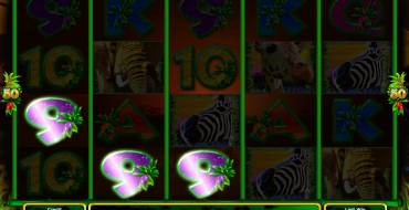 King of the Pride: Выплаты