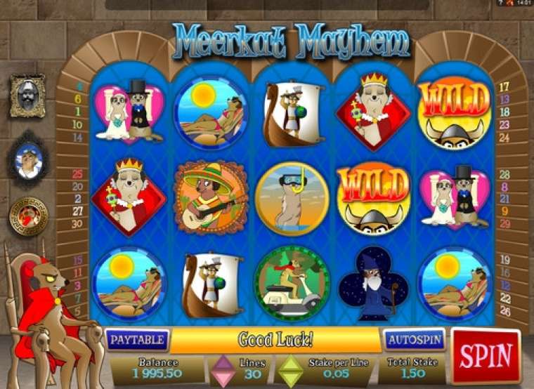 Онлайн слот Meerkat Mayhem играть