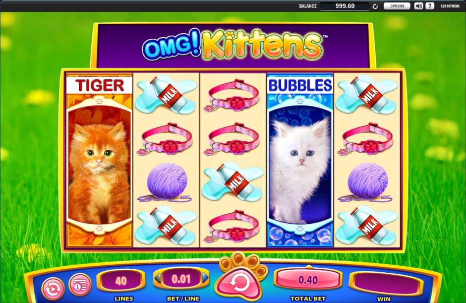 OMG! Kittens