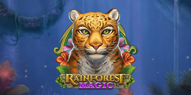 Rainforest Magic
