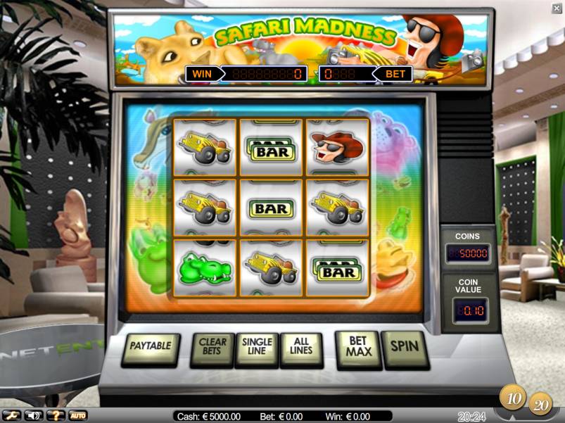 Safari Madness