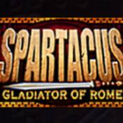 Spartacus Gladiator of Rome: Wild