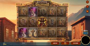 The Gunman of Goldwood: Интерфейс