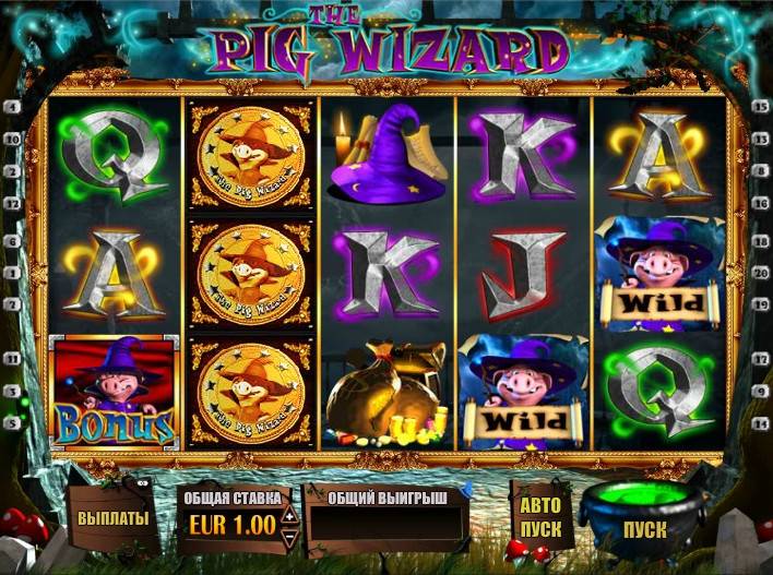 The Pig Wizard
