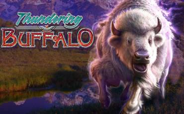Thundering Buffalo