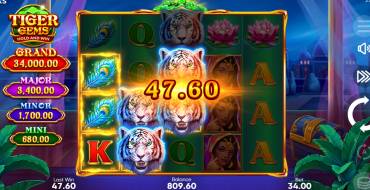 Tiger Gems: Hold and Win: Выигрыши