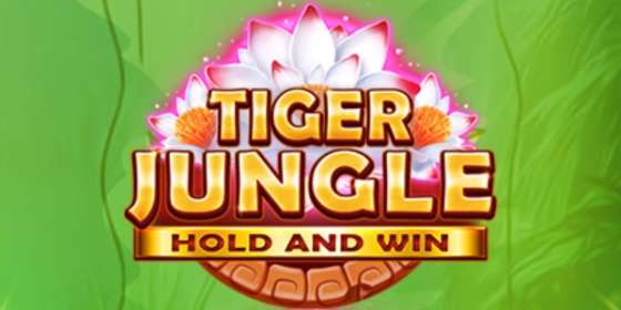 Tiger Jungle Hold and Win (Booongo) обзор