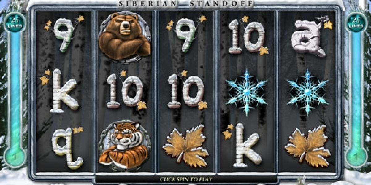 Tiger vs. Bear – Siberian Standoff