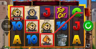 Top Cat Most Wanted Jackpot King: Выигрыши