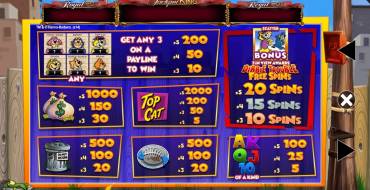 Top Cat Most Wanted Jackpot King: Таблица выплат