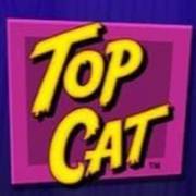 Top Cat Most Wanted Jackpot King: Топ Кот