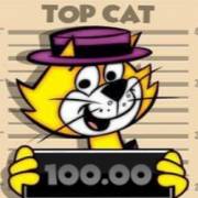 Top Cat Most Wanted Jackpot King: Кот 5