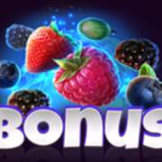 Wild Cherry Blast: Bonus